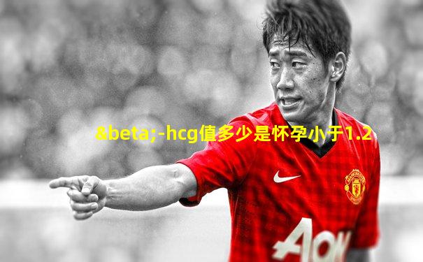 β-hcg值多少是怀孕小于1.2