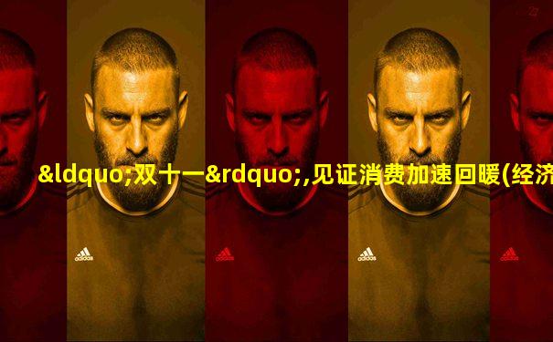 “双十一”,见证消费加速回暖(经济聚焦)