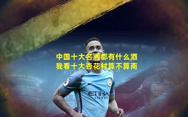 中国十大名酒都有什么酒我看十大杏花村算不算南