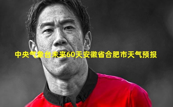 中央气象台未来60天安徽省合肥市天气预报