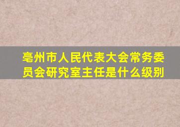 亳州市人民代表大会常务委员会研究室主任是什么级别