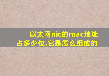 以太网nic的mac地址占多少位,它是怎么组成的