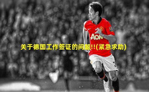 关于德国工作签证的问题!!(紧急求助)