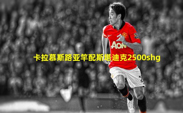 卡拉慕斯路亚竿配斯塔迪克2500shg