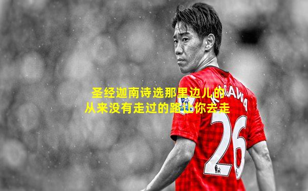 圣经迦南诗选那里边儿的从来没有走过的路让你去走