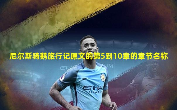 尼尔斯骑鹅旅行记原文的第5到10章的章节名称