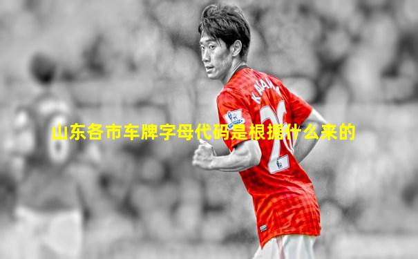 山东各市车牌字母代码是根据什么来的