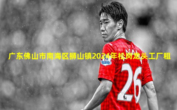 广东佛山市南海区狮山镇2024年松岗龙头工厂租