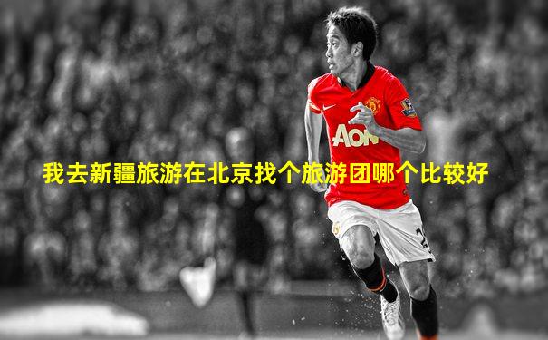 我去新疆旅游在北京找个旅游团哪个比较好