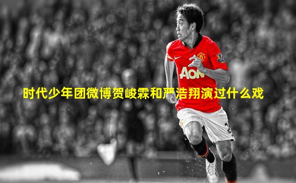 时代少年团微博贺峻霖和严浩翔演过什么戏