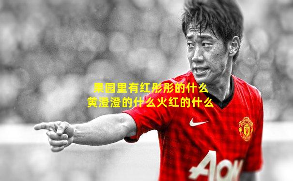 果园里有红彤彤的什么黄澄澄的什么火红的什么