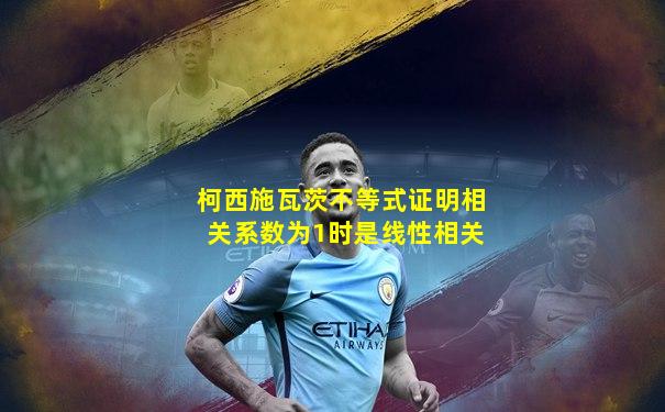 柯西施瓦茨不等式证明相关系数为1时是线性相关