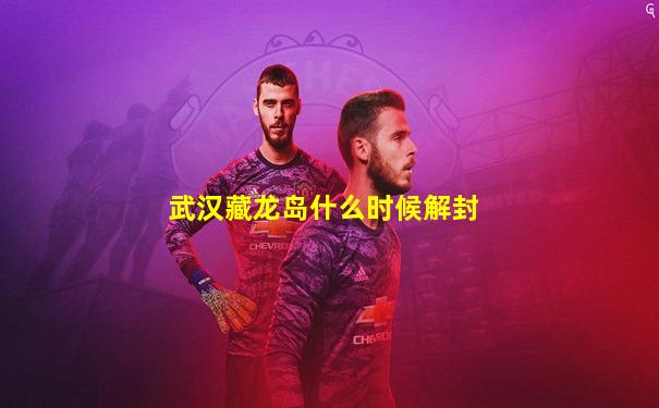 武汉藏龙岛什么时候解封