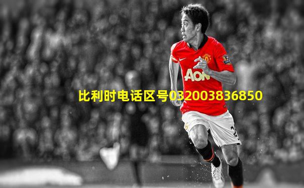 比利时电话区号032003836850