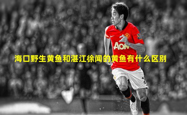 海口野生黄鱼和湛江徐闻的黄鱼有什么区别