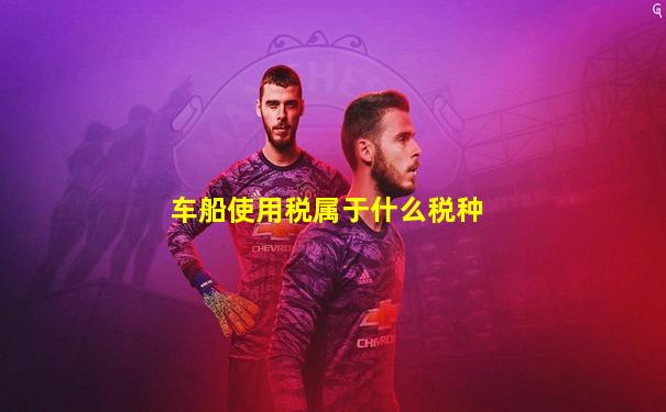 车船使用税属于什么税种