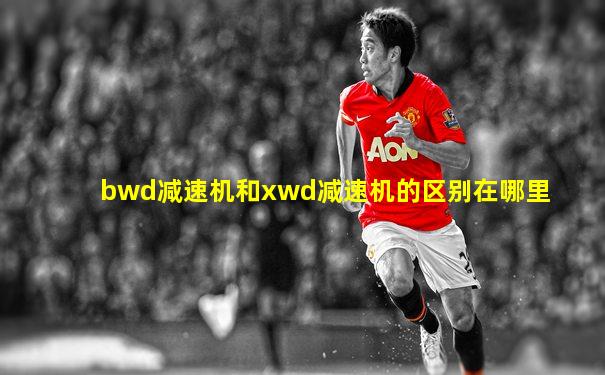 bwd减速机和xwd减速机的区别在哪里