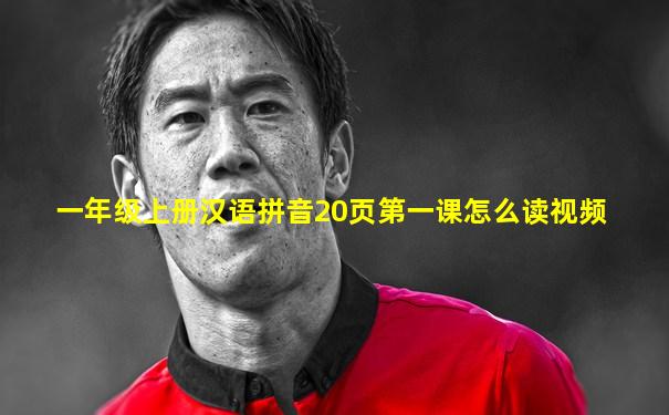 一年级上册汉语拼音20页第一课怎么读视频