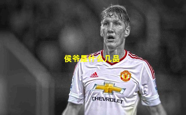 侯爷是什么几品