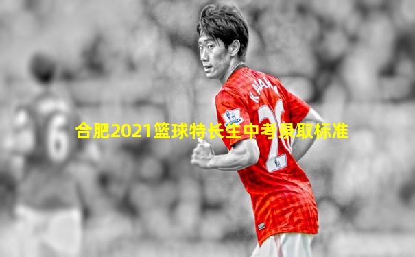 合肥2021篮球特长生中考录取标准