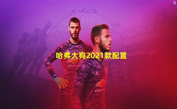 哈弗大狗2021款配置