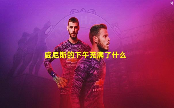 威尼斯的下午充满了什么
