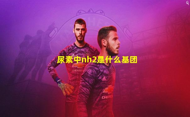 尿素中nh2是什么基团
