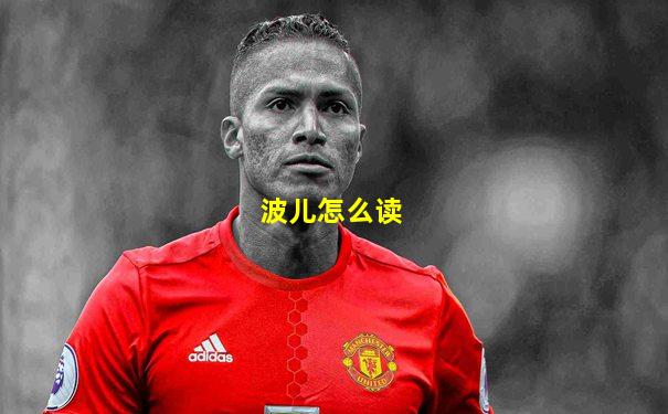 波儿怎么读